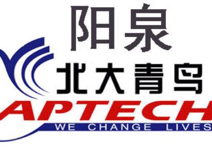 跨地域技术协同 北京IT咨询与阳泉iOS开发的融合之道