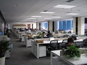 天职国际会计师事务所（特殊普通合伙） 北京信息技术咨询服务解析